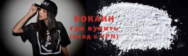 индика Железноводск