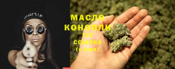 индика Железноводск