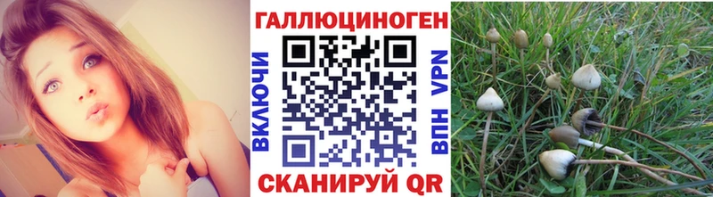 Галлюциногенные грибы мухоморы  где купить наркоту  Алексеевка 