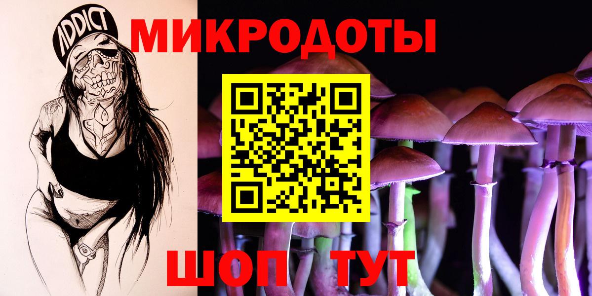 Галлюциногенные грибы Psilocybe  Псилоцибиновые грибы прущие грибы  Вход с VPN  Алексеевка 