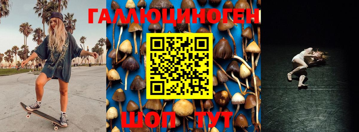 Псилоцибиновые грибы мухоморы Алексеевка